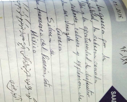 دیدگاه مهمان ها